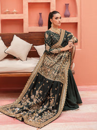 GL-WS-22V1-33 (Shawl)